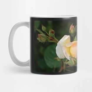 Peaches & Cream Mug